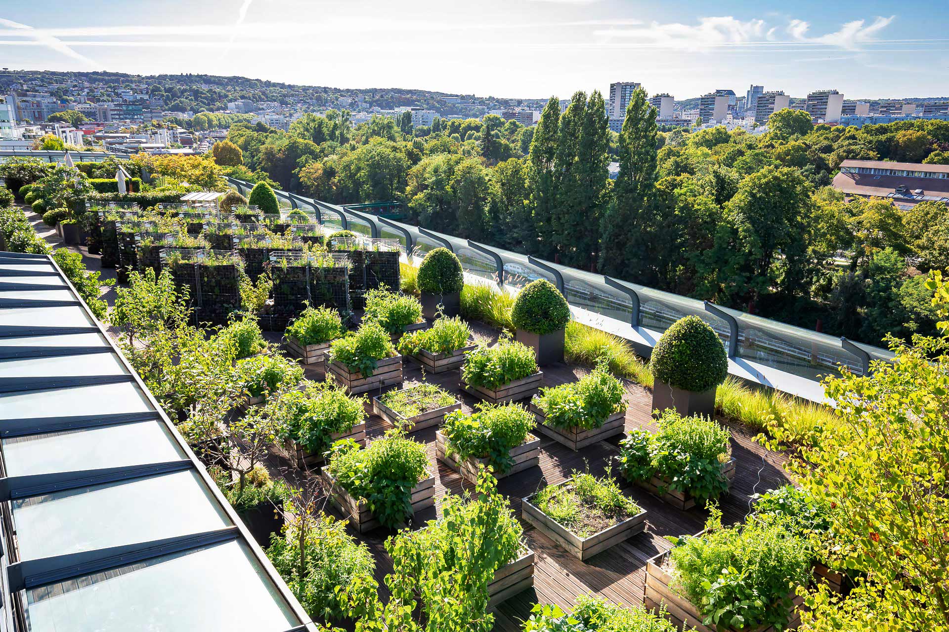 juliencresp photographie les jardins suspendus realises par la societe Mugo