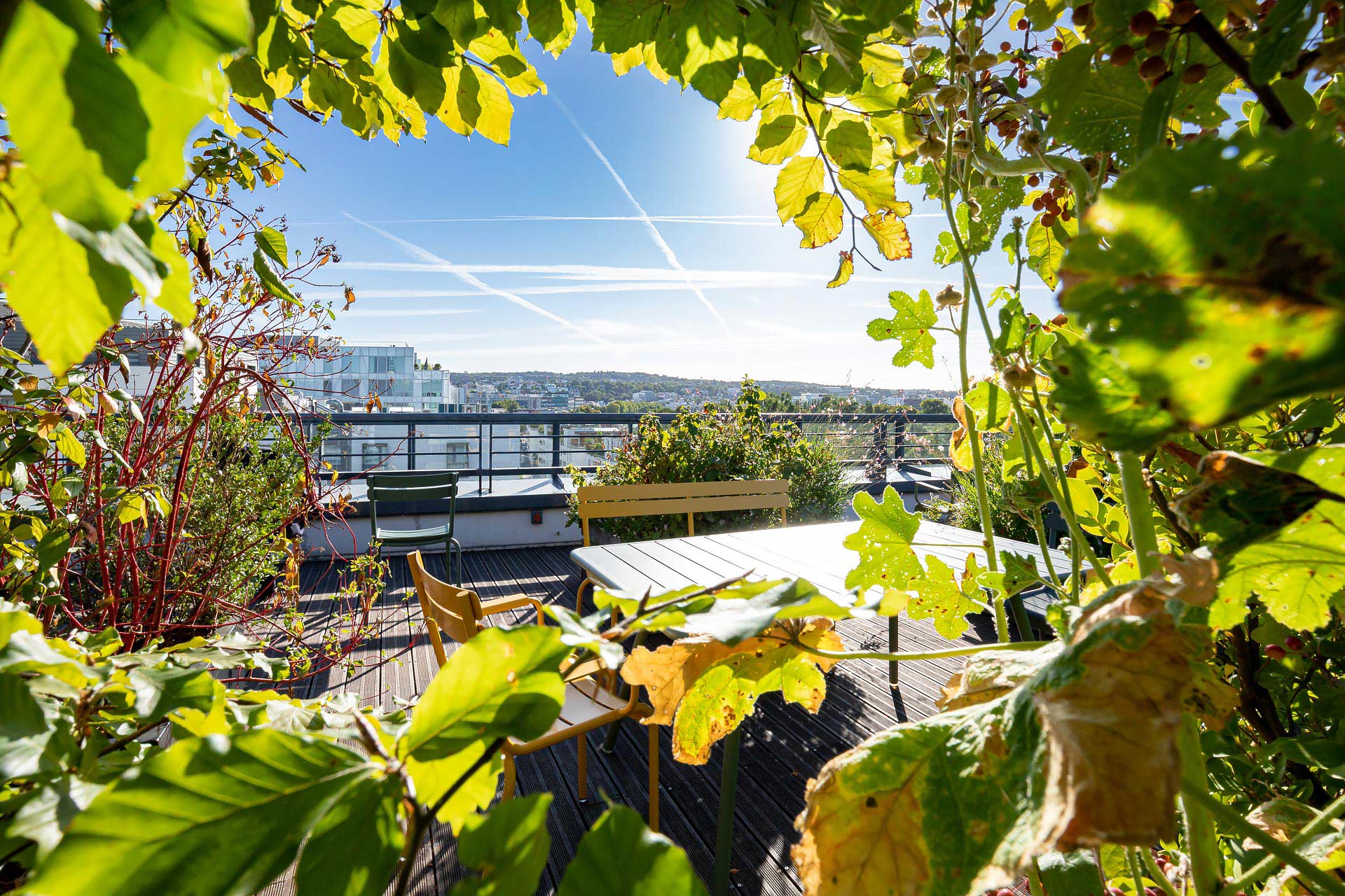 les potagers de mugo photographiés par julien cresp