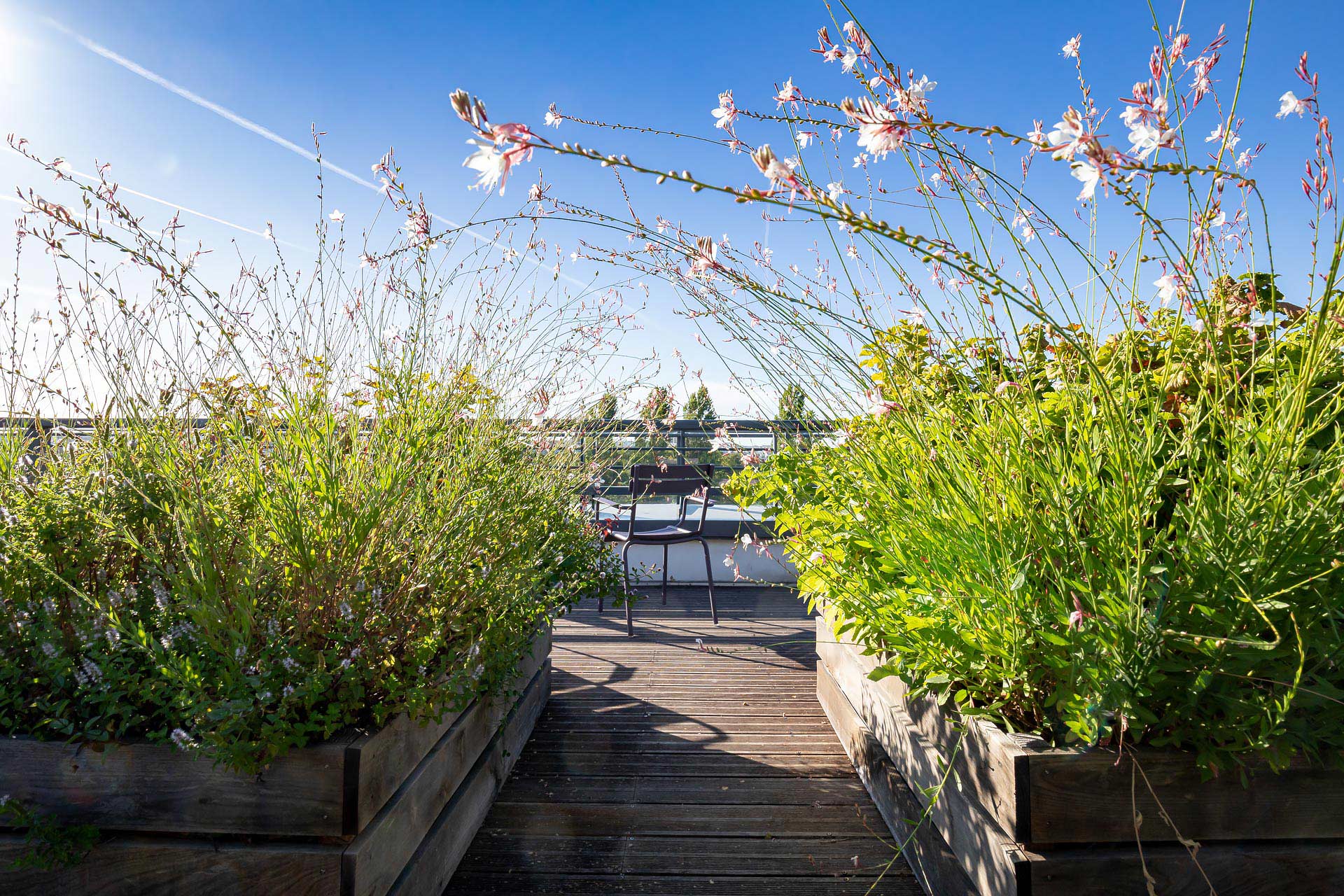 juliencresp photographie les jardins suspendus realises par la societe Mugo