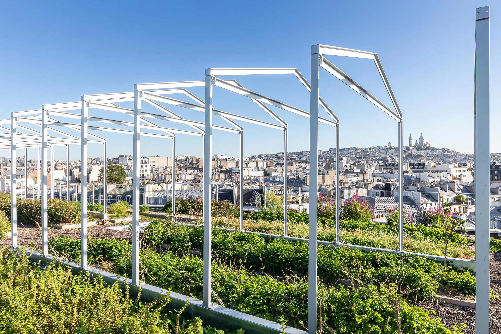 les potagers de mugo photographiés par julien cresp