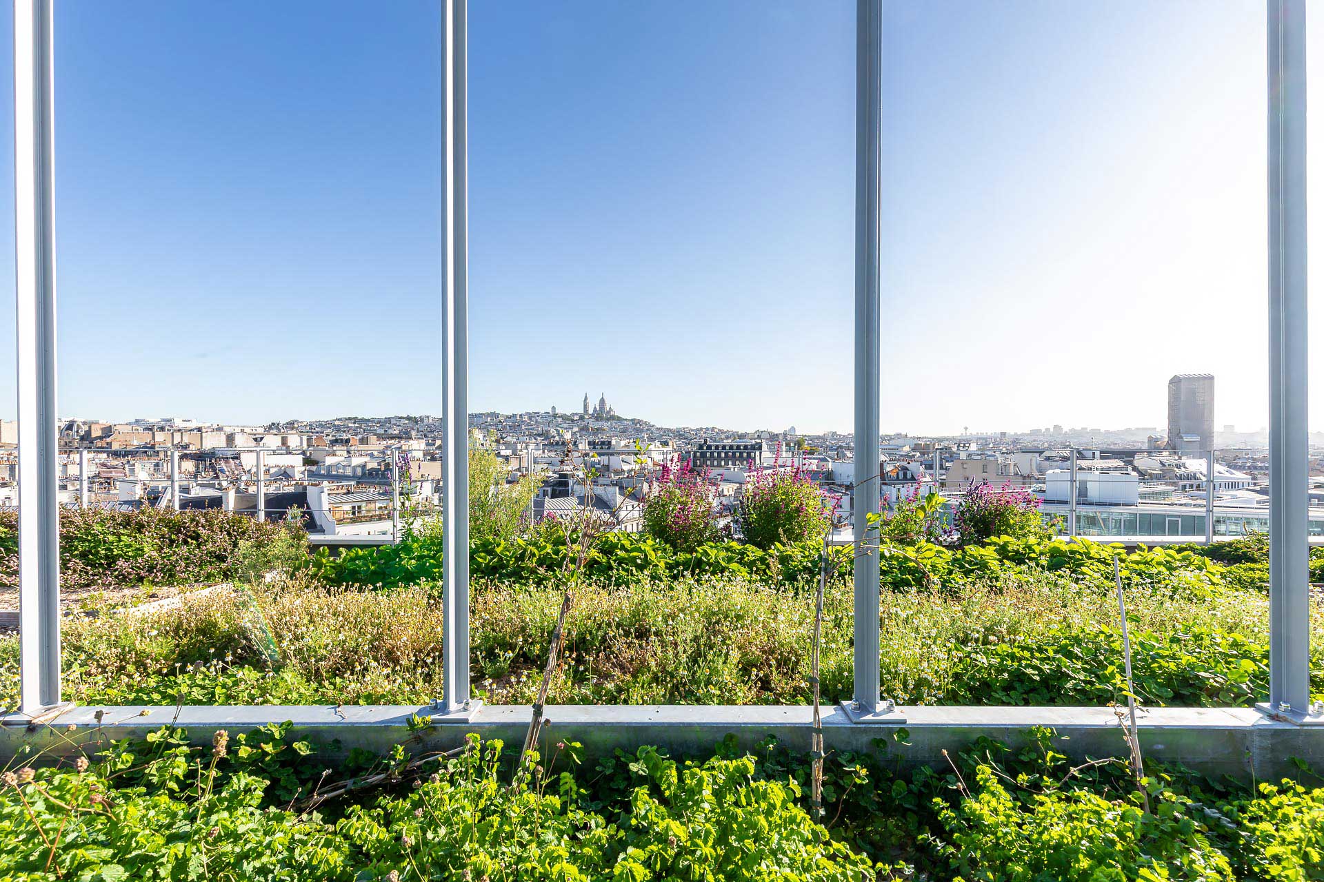 juliencresp photographie les jardins suspendus realises par la societe Mugo