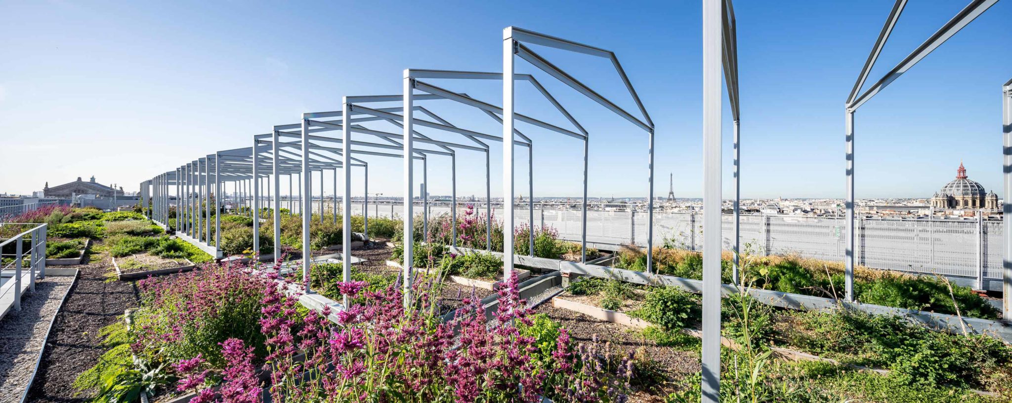 les potagers de mugo photographiés par julien cresp