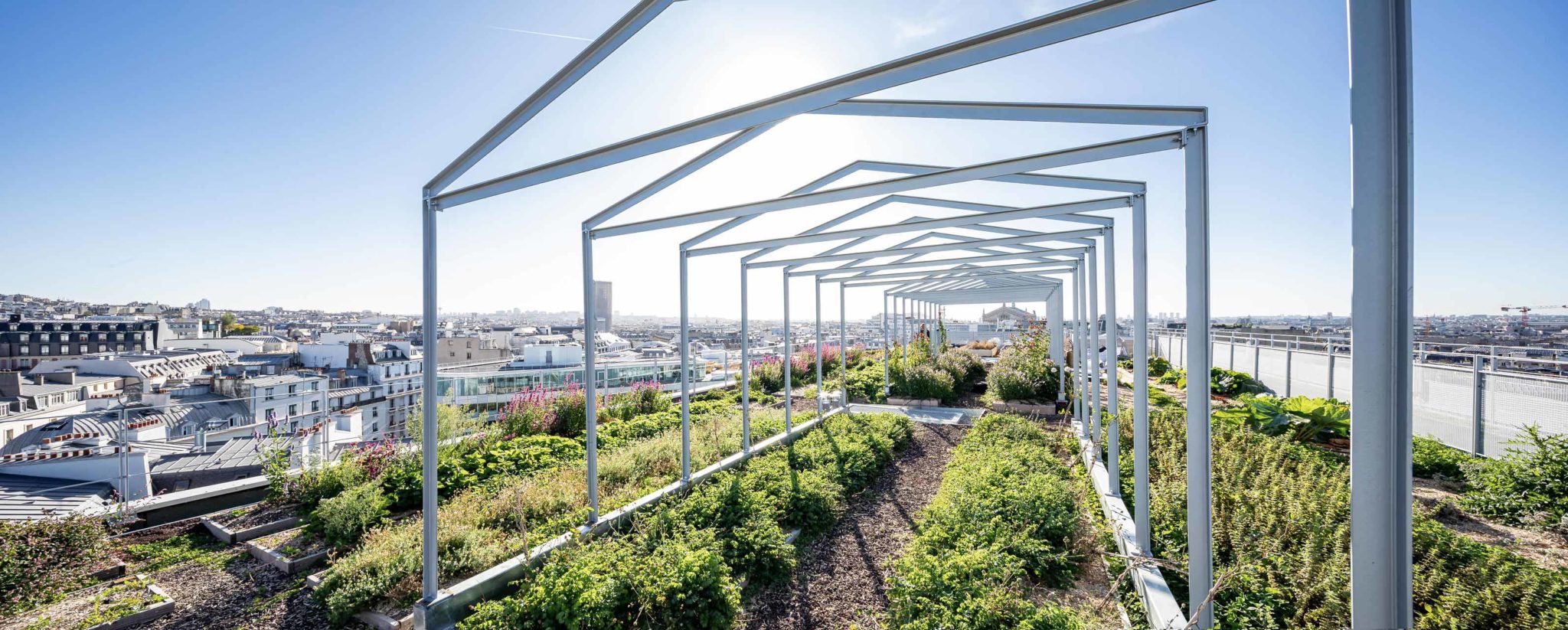 les potagers de mugo photographiés par julien cresp