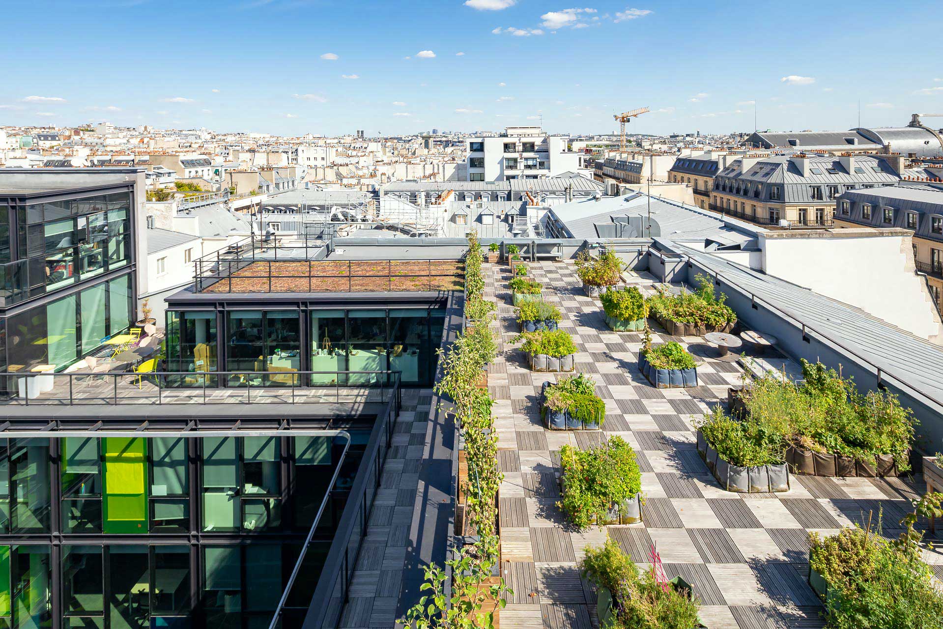 les potagers de mugo photographiés par julien cresp
