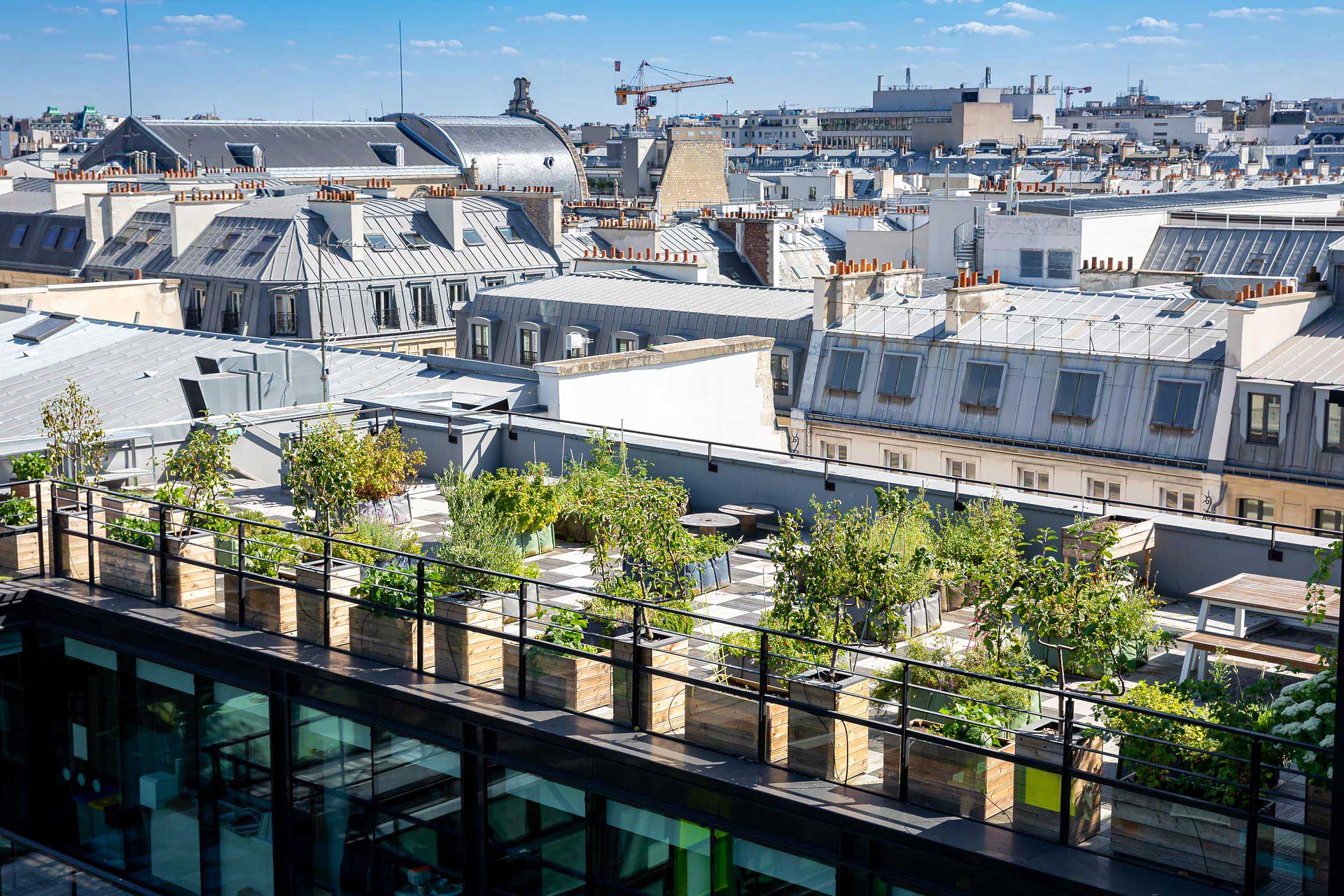 les potagers de mugo photographiés par julien cresp