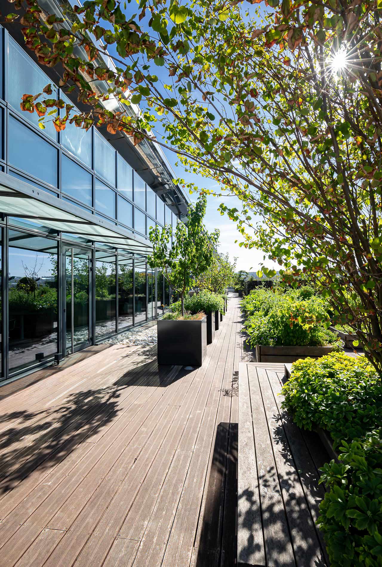 les potagers de mugo photographiés par julien cresp