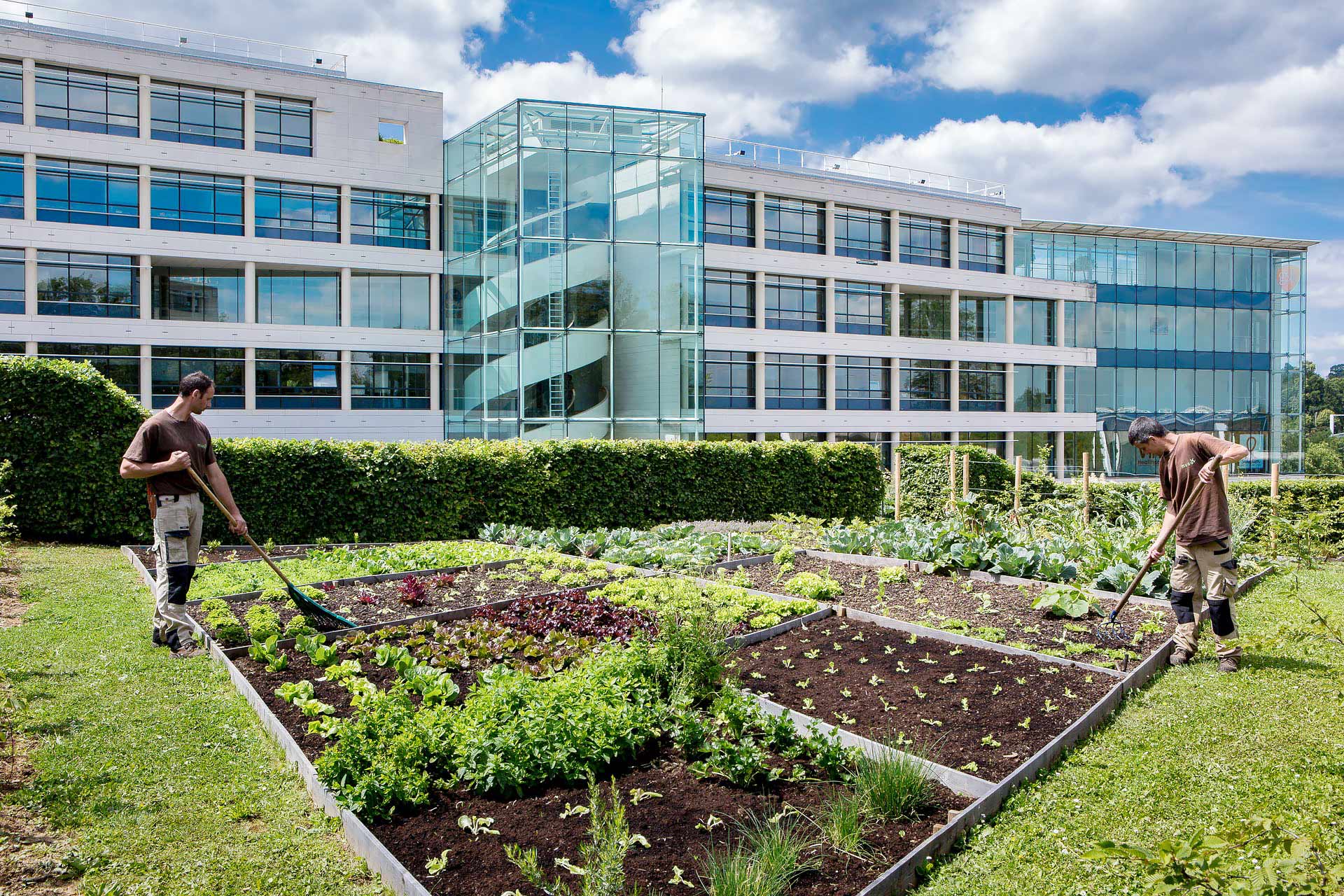 les jardiniers de mugo photographies par julien cresp