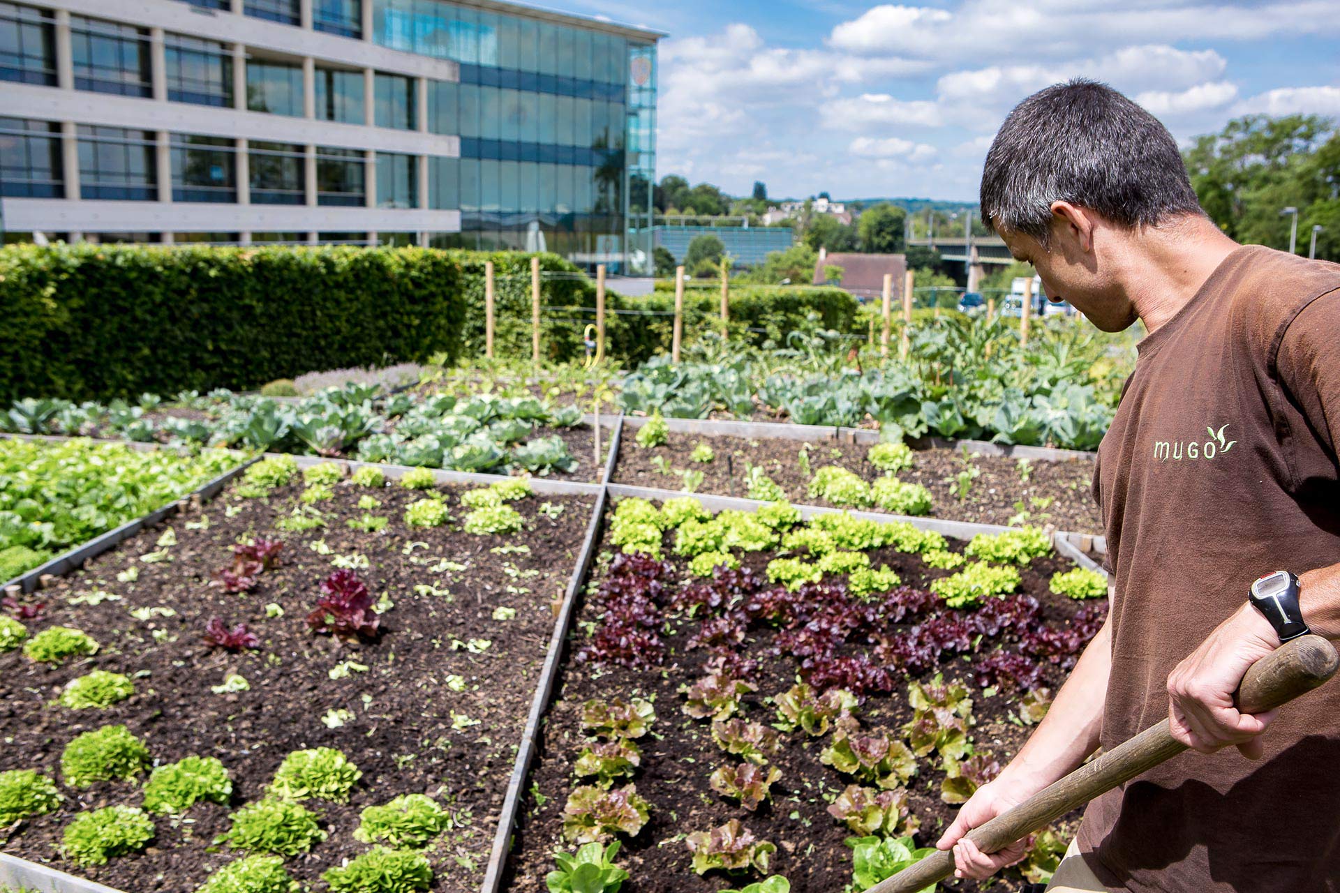 julien cresp photographie les jardins inventés par Mugo