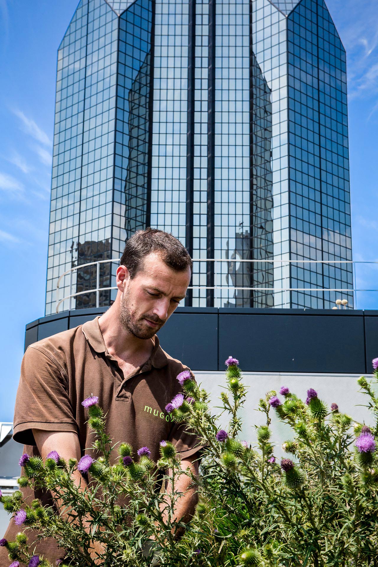 les jardiniers de mugo photographies par julien cresp