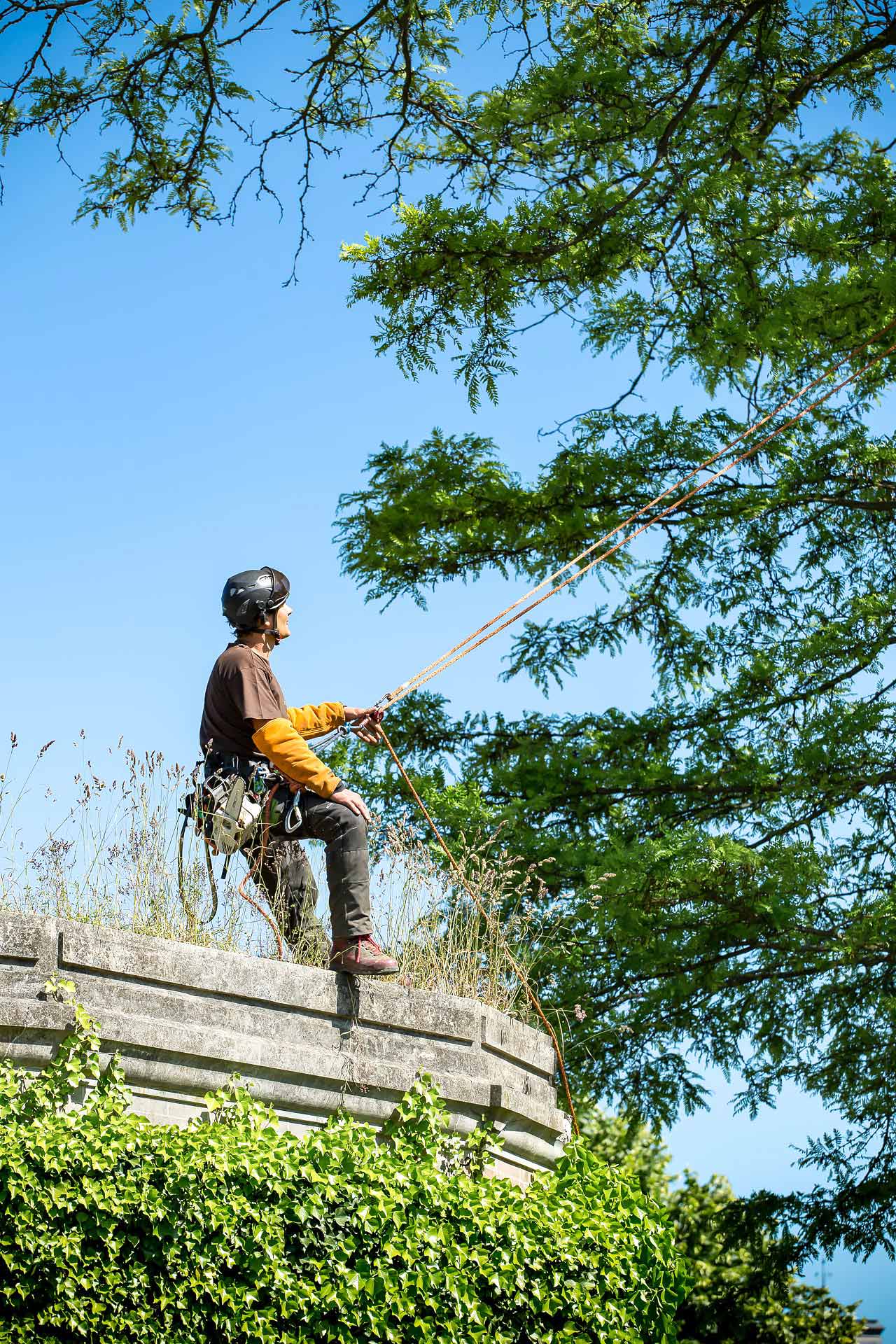 julien cresp photographie les jardins inventés par Mugo